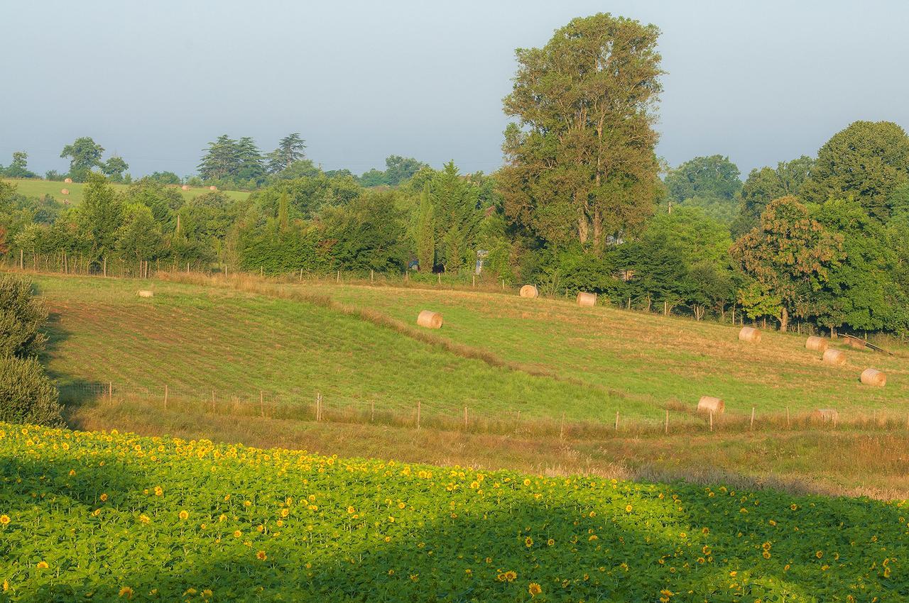 Les Maisons Du Golf D'Armagnac Eauze Esterno foto